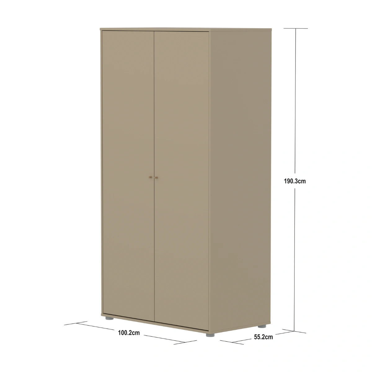 SAGA系列 雙門衣櫃(直序型紋理)-燕麥色:圖片 15